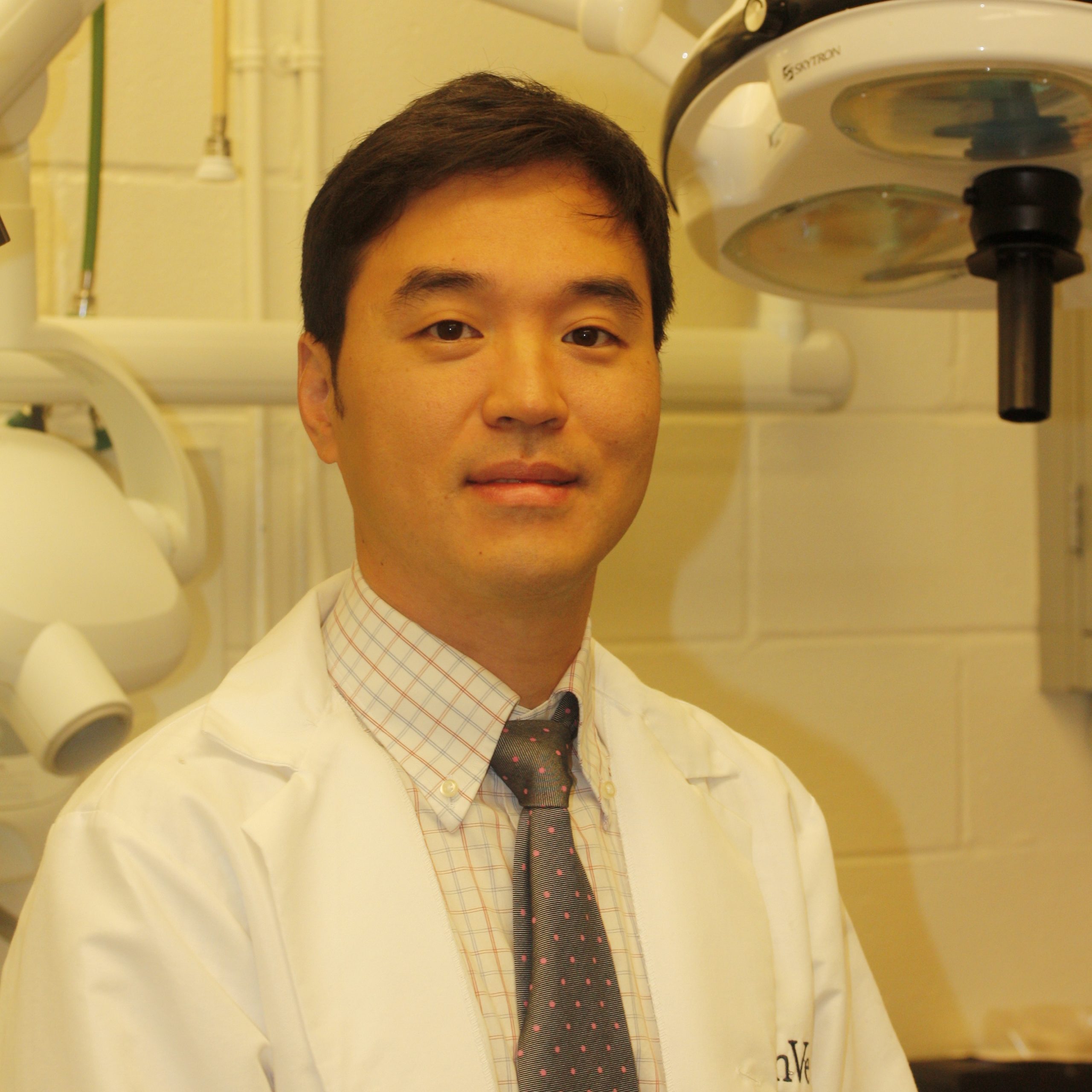 Jin Jung Dvm Practice Limited To Dentistry And Oral Surgery Aera